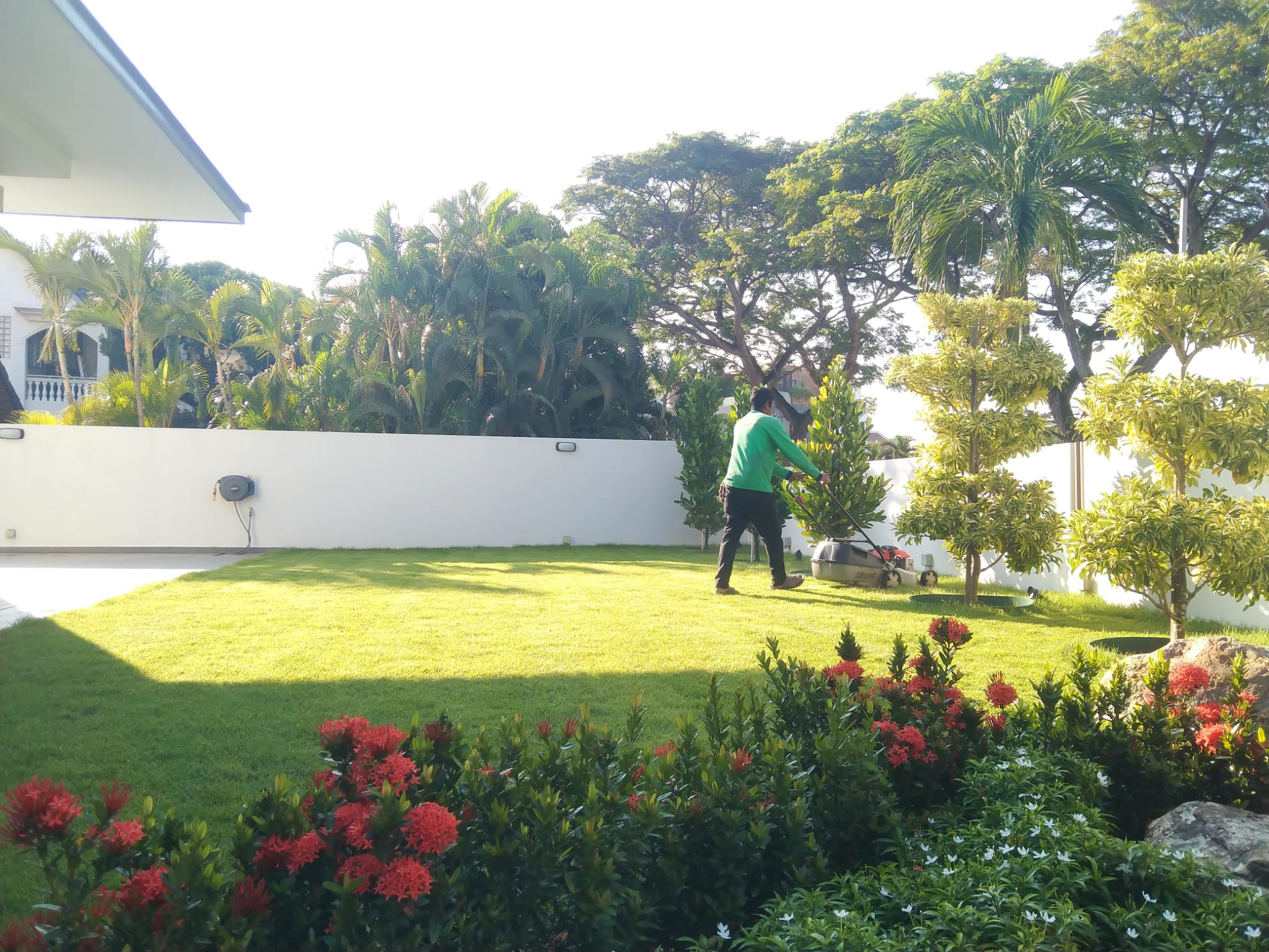 Professional Grass Cutting Service